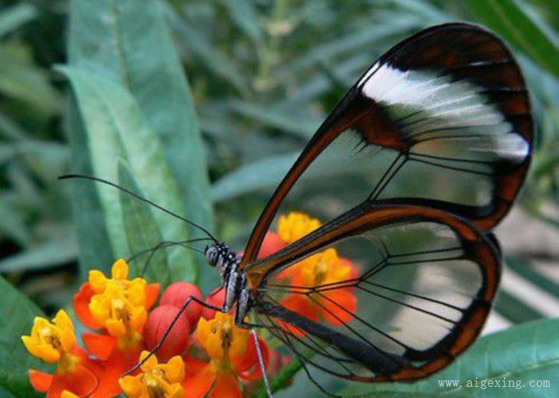 ‘hth官网入口’CF手游策划面对面 人工智能AI新玩法?(图2) hth官网入口