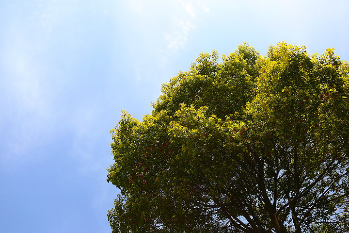 hth官网入口：施工用电宁静“十禁绝”，漫画详细解读