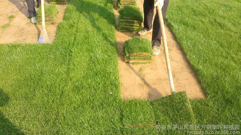 Aiming新作《商队物语》确定2017年内上线 支持多端登陆|华体会体育hth官方网站