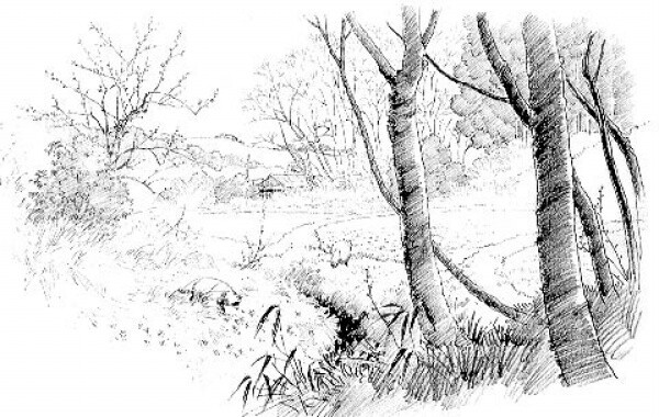 造就直达本质的能力“华体会体育hth官方网站”(图3) 华体会体育hth官方网站