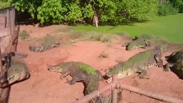 河南省省级预算绩效评价治理措施【绩效评价指标、评价尺度和方法】_hth官网入口(图4) hth官网入口