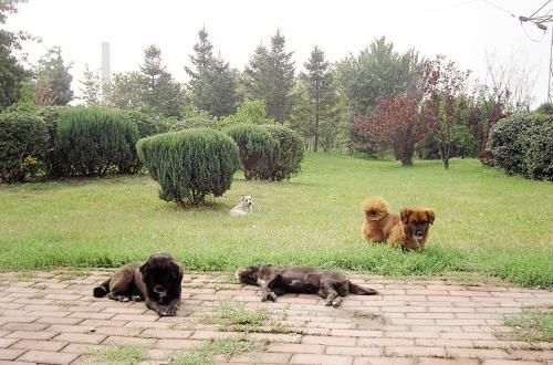 华体会体育hth官方网站