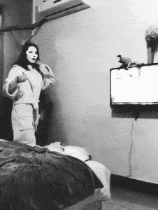 
搞笑GIF段子：7 这要怎么解释？‘华体会体育hth官方网站’(图7)