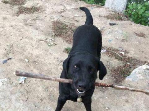 从0G到5G 移动通信的百年沉浮【华体会体育hth官方网站】