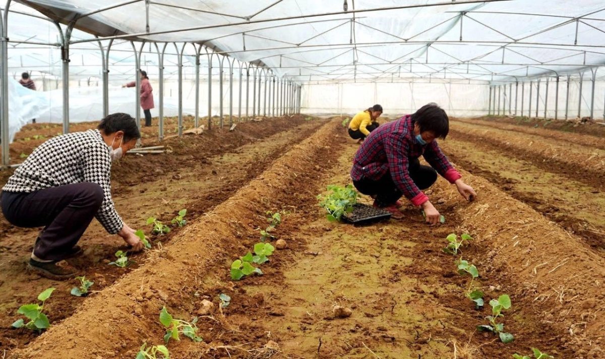 ‘华体会体育hth官方网站’专家认为保险行业格局出现较大变化 配置范围和配置方式在逐步丰富 应加强对集团公司和股东监管(图3) hth官网入口