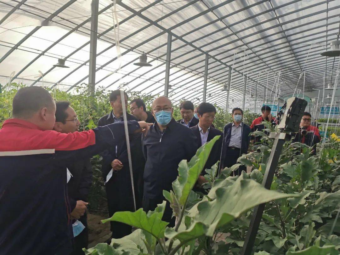 
全省尺度化事情推进暨农业尺度化服务现场交流会到我镇观摩-hth官网入口(图10)