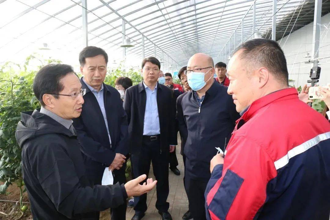 
全省尺度化事情推进暨农业尺度化服务现场交流会到我镇观摩-hth官网入口(图11)