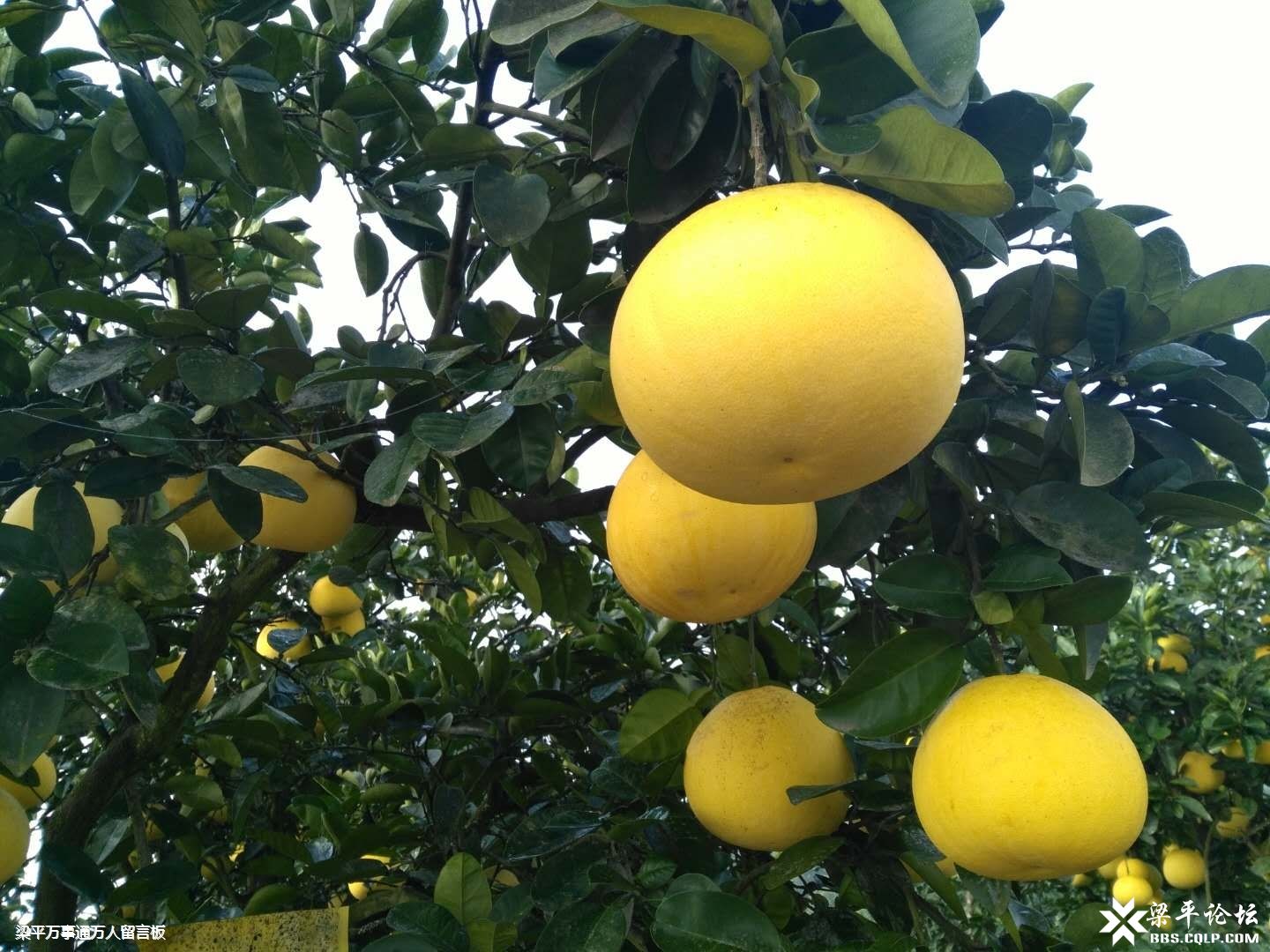 儿童坠楼事件缘何频频发生？“hth官网入口”