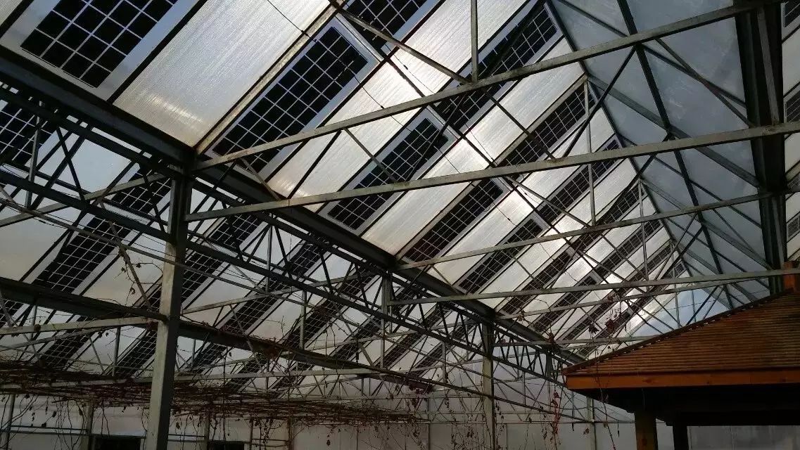 hth官网入口_最新情报速递!《模拟城市:我是市长》万圣节限定建筑将至(图2) hth官网入口