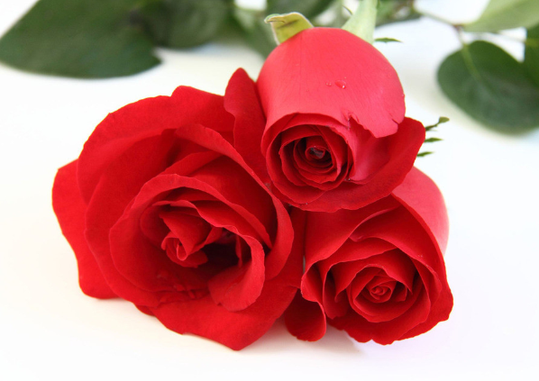 师德花开多娇艳——淅川县实验幼儿园举办“期中最美教师”评选活动-华体会体育hth官方网站(图3) hth官网入口