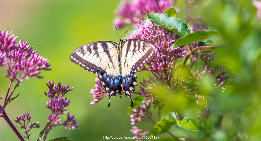 未来美国健康美容关怀市场将继续成长“hth官网入口”