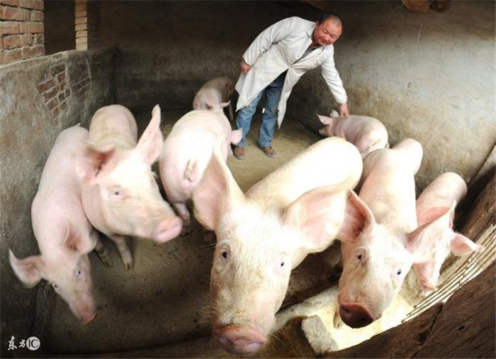 定制衣柜用什么板材好？四个方法带你选购衣柜板“hth官网入口”