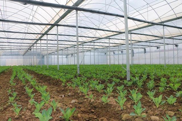 华体会体育hth官方网站