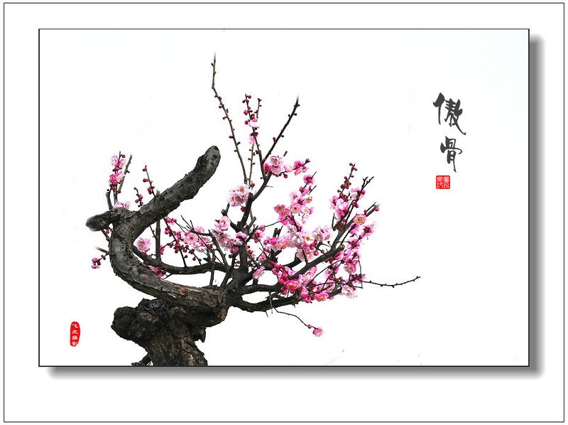 《孤岛先锋》奇异技能反套路玩法,打造魔性吃鸡新体验!|hth官网入口(图1) 华体会体育hth官方网站