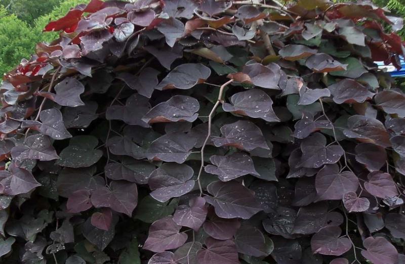 华体会体育hth官方网站