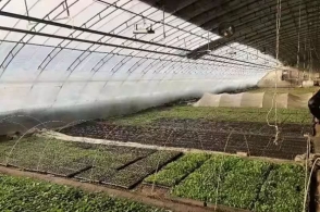 ‘hth官网入口’《时空猎人》2.12新翅膀皮肤太甜了!情人节定制光翼!