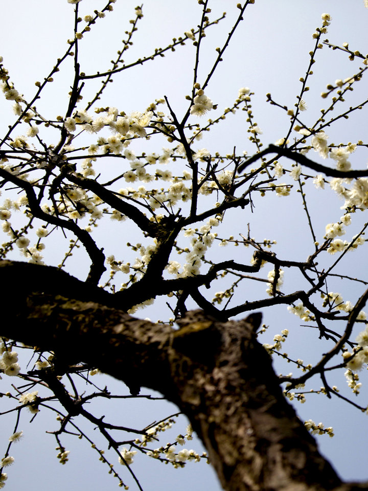 担当社会责任 打造国际品牌‘华体会体育hth官方网站’