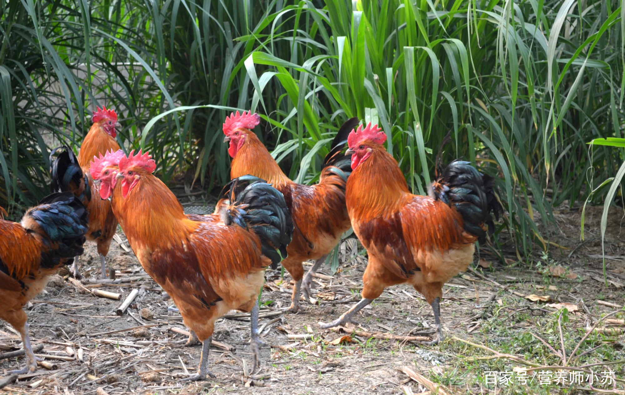 华体会体育hth官方网站