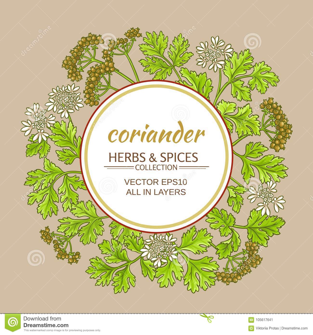 七一实验小学开展宪法宣传周活动‘hth官网入口’