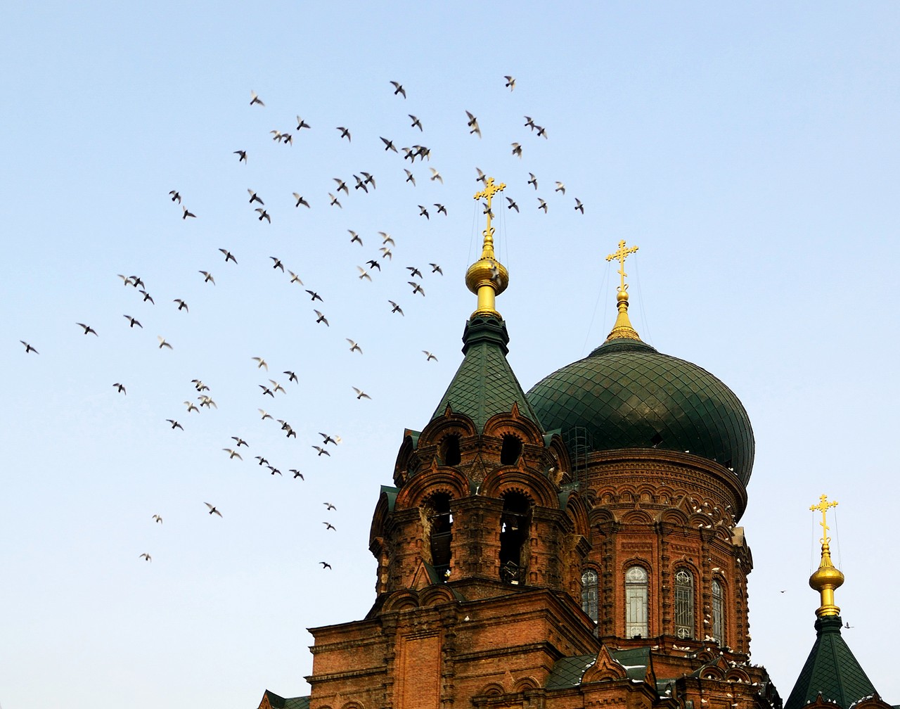 华体会体育hth官方网站-
张更华出席全国品牌评价尺度化技术委员会2020年年会