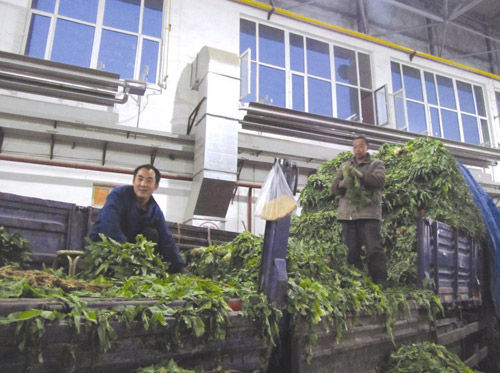 再贪一波,搏一把,单车变摩托!带着宝藏活着逃出去_hth官网入口(图3) 华体会体育hth官方网站