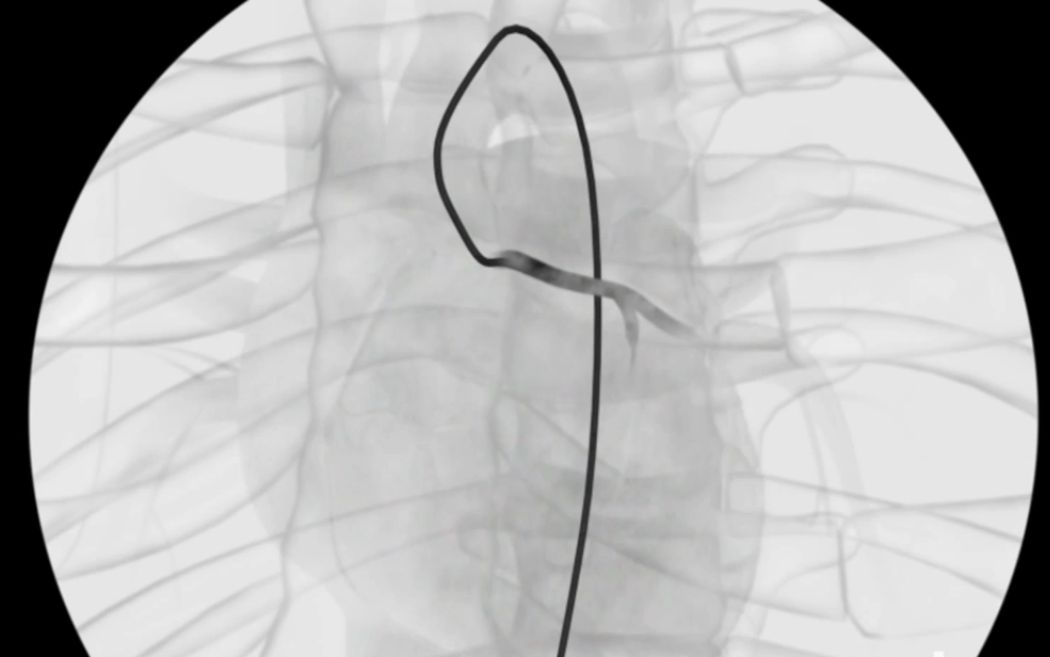 华体会体育hth官方网站