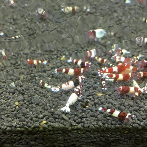 华体会体育hth官方网站