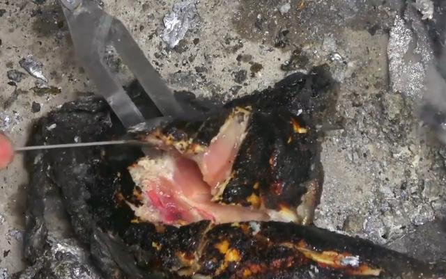 中通波音737-800型全货机成功首航 我国快件时效将进一步提速|华体会体育hth官方网站