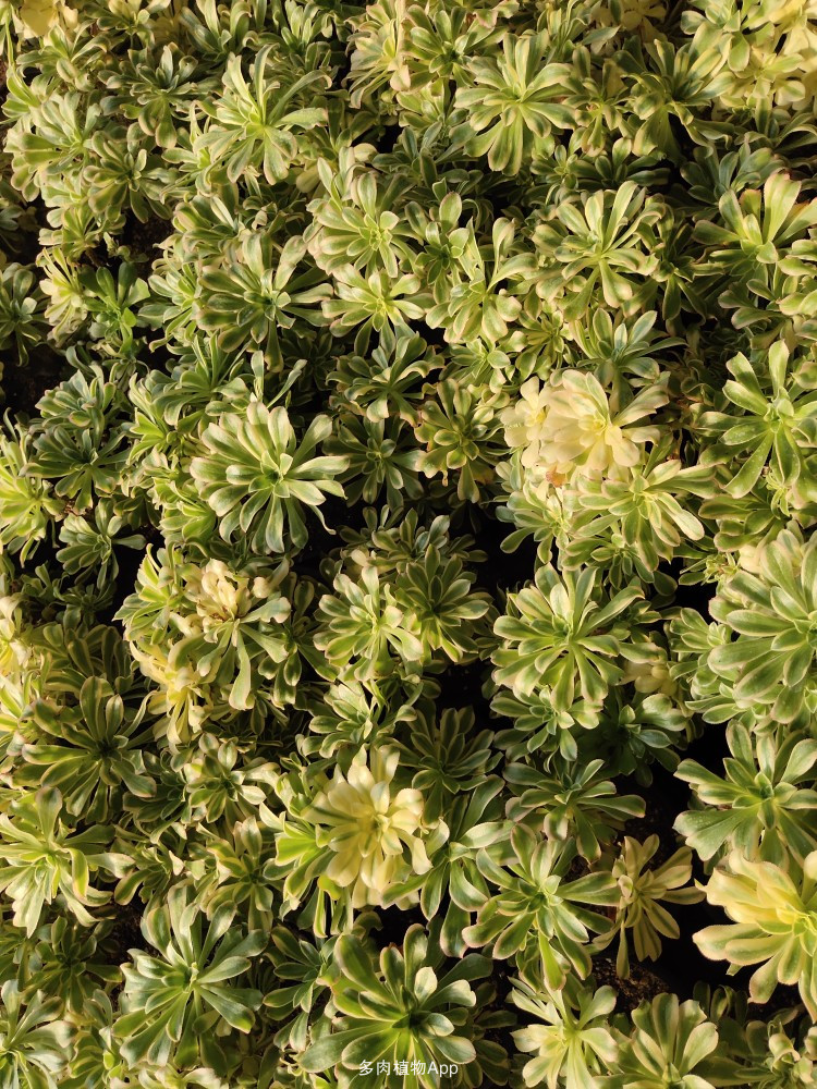 华体会体育hth官方网站