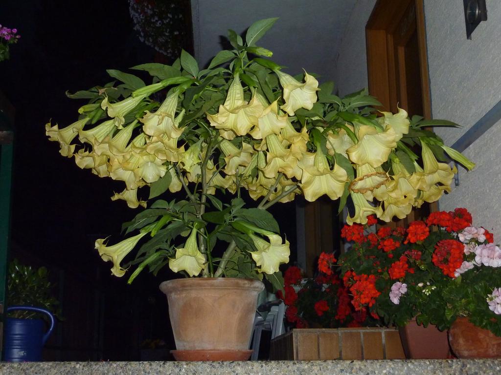 CF手游九月狂欢进行时，一起砍价永久道具任你领【华体会体育hth官方网站】