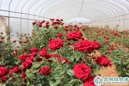 成都市天回实验小学校：开学安全大检查新风新貌保平安-华体会体育hth官方网站