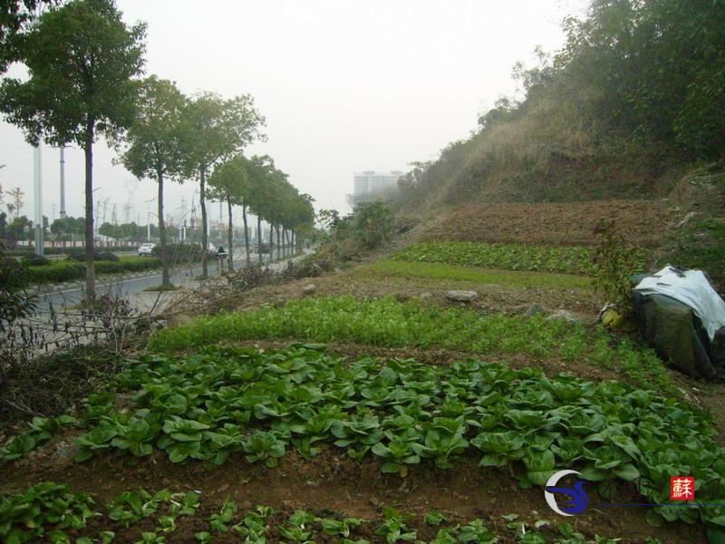 寺庙的招聘广告 好想去“hth官网入口”(图4) 华体会体育hth官方网站