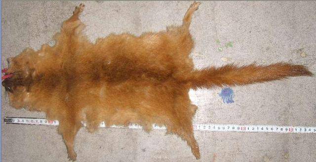 华体会体育hth官方网站