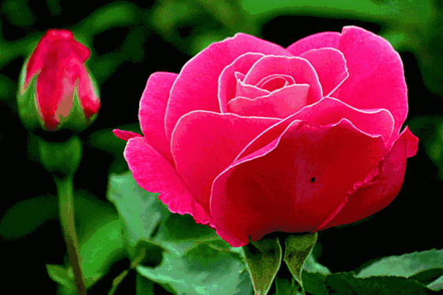 hth官网入口_中国拒收的洋垃圾销往哪些国家?我国再生资源回收企业迎来新契机