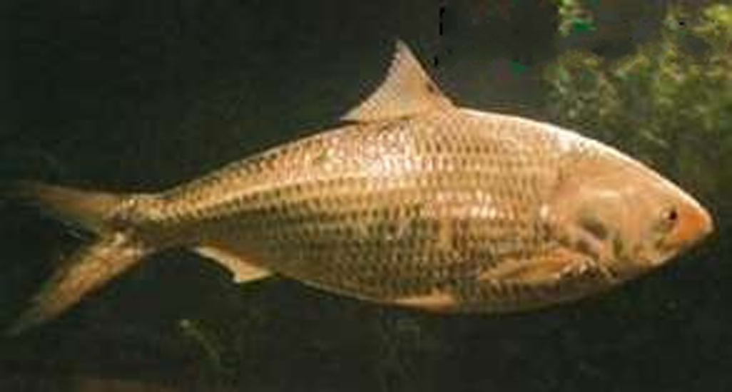 华体会体育hth官方网站