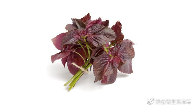 hth官网入口|济源市实验幼儿园:各显身手竞风采欢天喜地迎新年(图2) 华体会体育hth官方网站