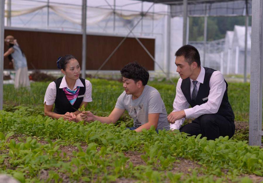 ‘hth官网入口’
【优秀企业推荐】陕西省农业服务公司优秀企业推荐公示(图2) ‘hth官网入口’
【优秀企业推荐】陕西省农业服务公司优秀企业推荐公示(图2)