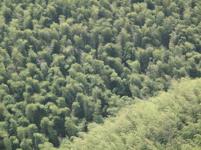 华体会体育hth官方网站