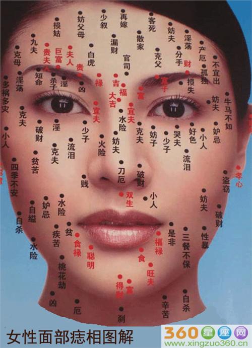 华体会体育hth官方网站