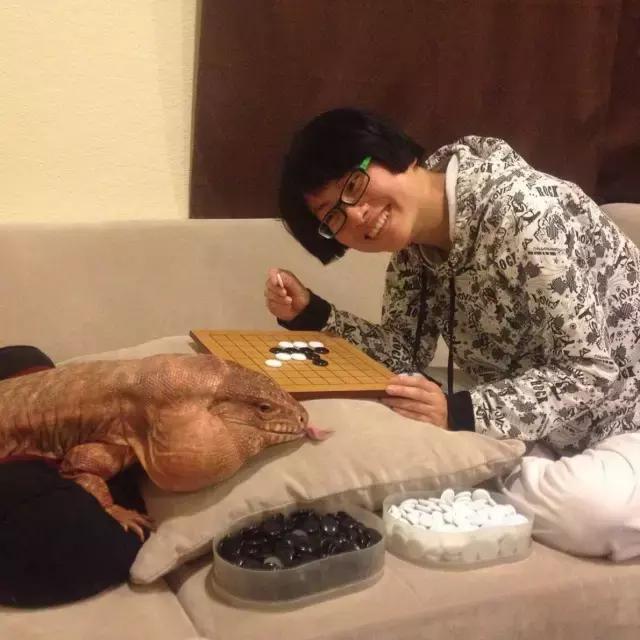 或受笑笑五五开之争风波影响? 拳师7号现已跳槽虎牙直播“hth官网入口”