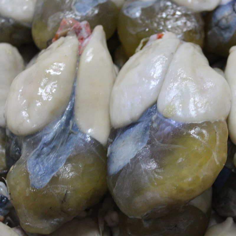 够特别!营业厅还可以这样!_hth官网入口