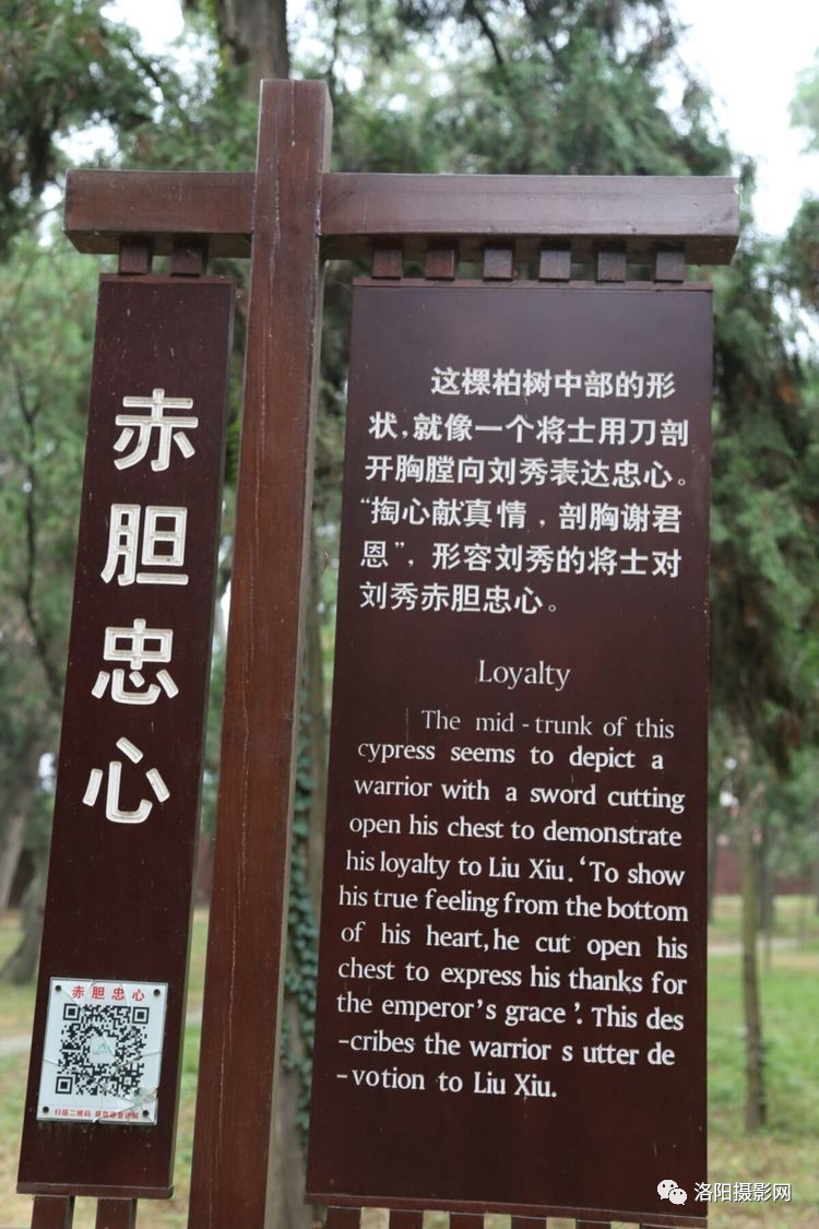 华体会体育hth官方网站