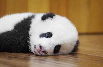 【hth官网入口】家庭教育的基础——让孩子有尊严