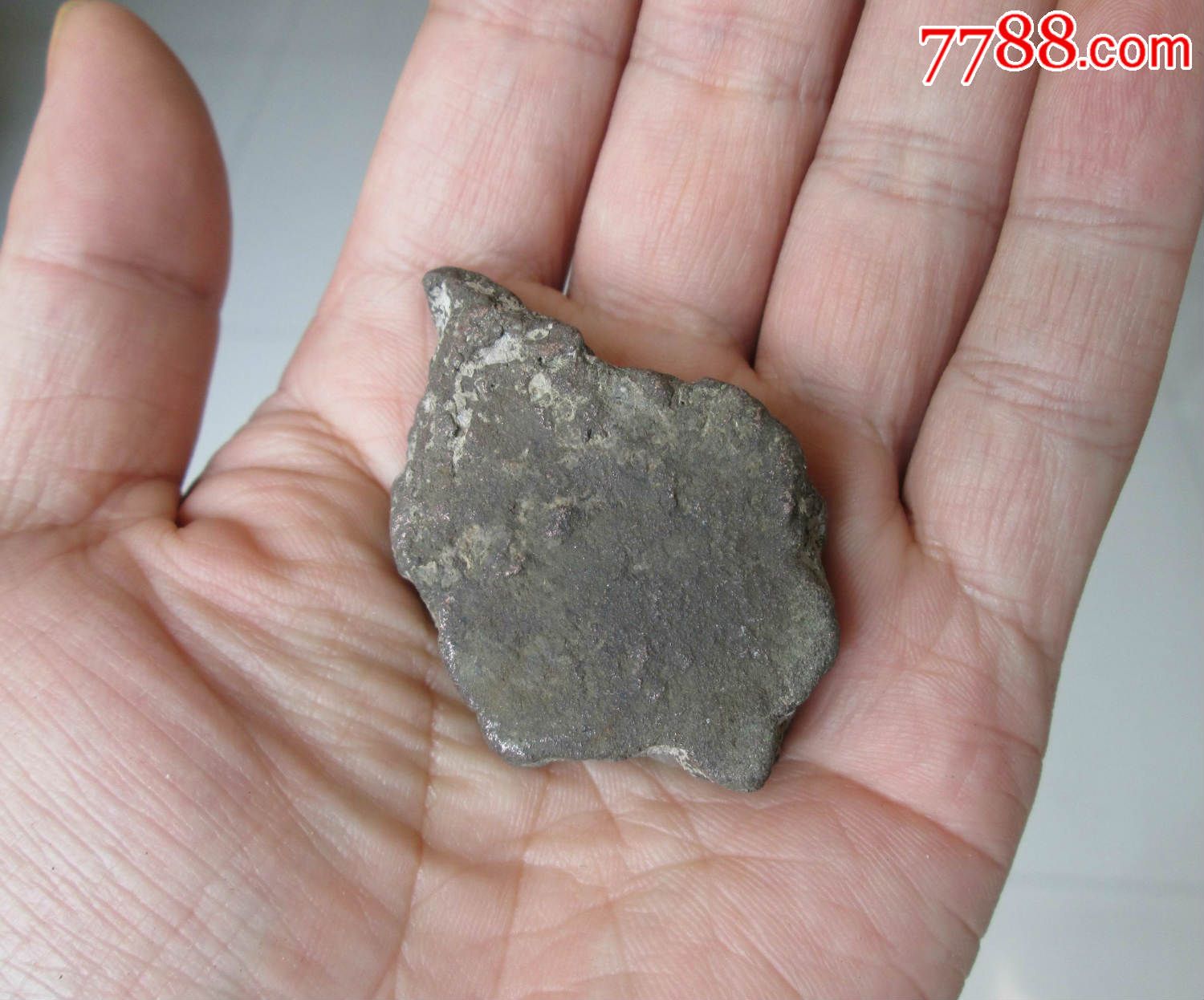 华体会体育hth官方网站