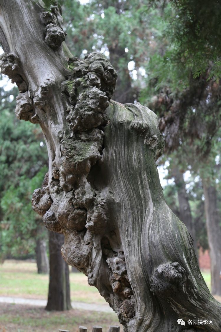 2015上海长宁区幼儿园入园|hth官网入口