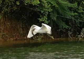 【华体会体育hth官方网站】同程发布2019暑假旅游趋势报告亲子游及研学旅成暑期出游市场主力军(图2) hth官网入口