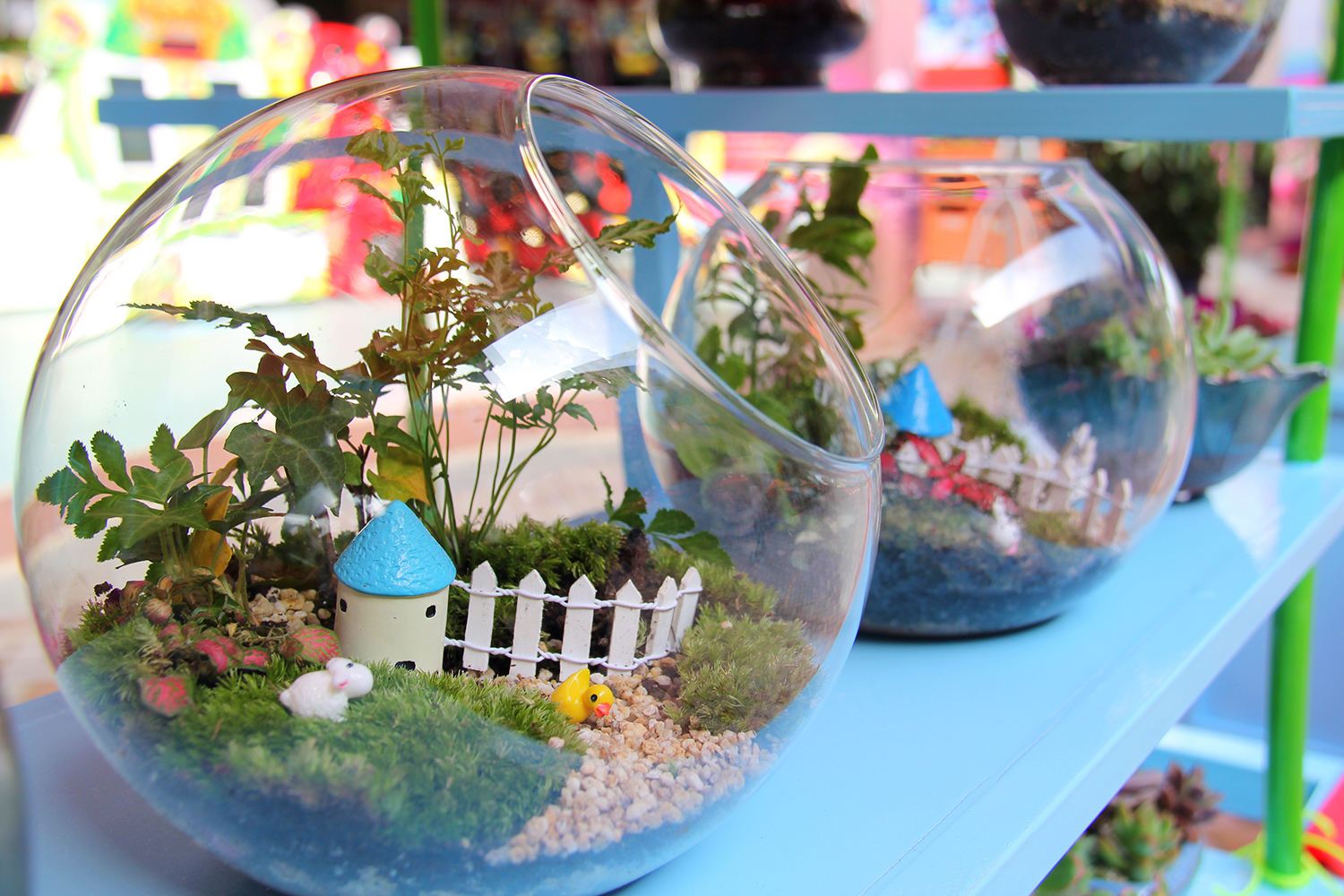 柏树九义校开展“不忘初心、牢记使命”主题教育专题组织生活会‘华体会体育hth官方网站’