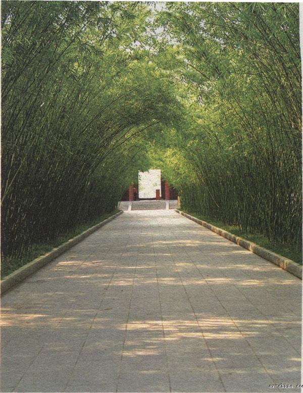 华体会体育hth官方网站