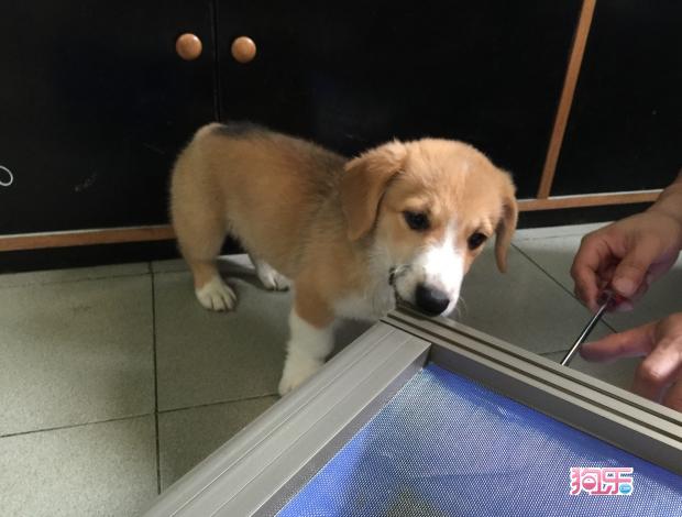 华体会体育hth官方网站