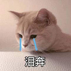 如何将语音文件转换为文字?这5款软件轻松做到!|华体会体育hth官方网站(图3)
如何将语音文件转换为文字?这5款软件轻松做到!|华体会体育hth官方网站(图3)